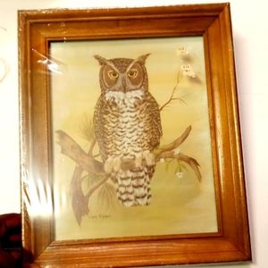 Vintage 70's Owl Framed Litho Arthur A Kaplan Signed Lynn Chase NEW